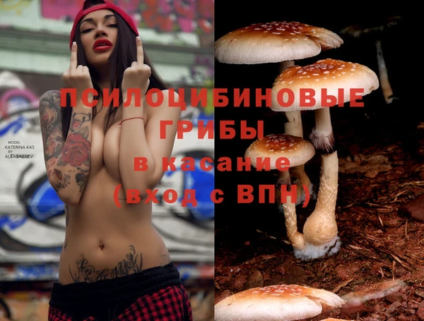 spice Осинники