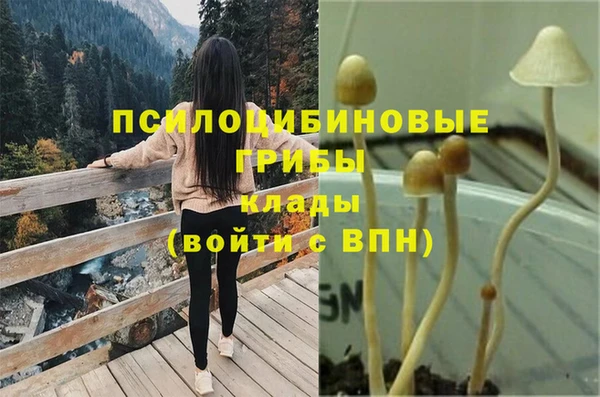 spice Осинники