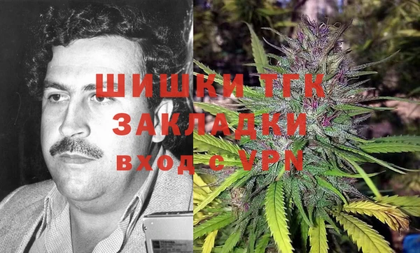 spice Осинники